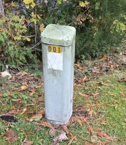 a view of a swimming pool with a table and chairs
