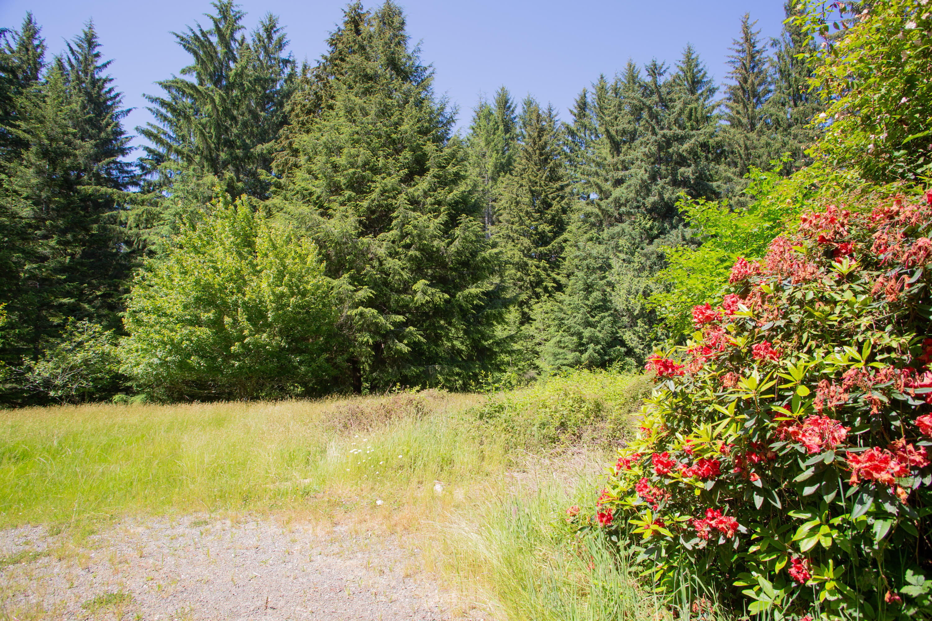 2095 Arthur Road McKinleyville, CA 95519 - Photo 25 of 29