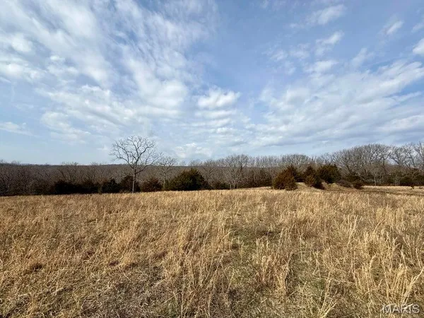 $222,695 | 0 Hwy M Tract D Cabool Mo 65689, Cabool, MO 65689