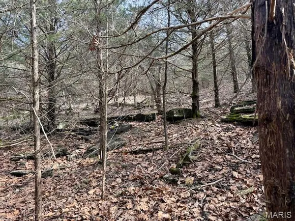 $222,695 | 0 Hwy M Tract D Cabool Mo 65689, Cabool, MO 65689