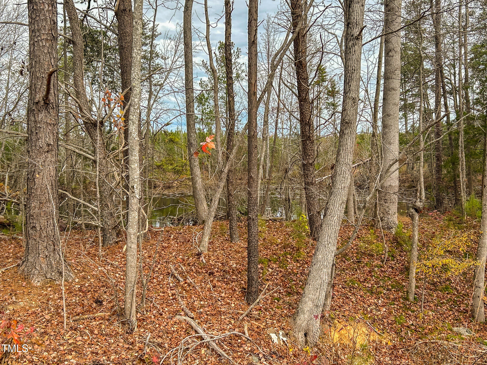 40-acres Thomas Humphries Road Roxboro, NC 27574 - Photo 5 of 13 IMG_0784