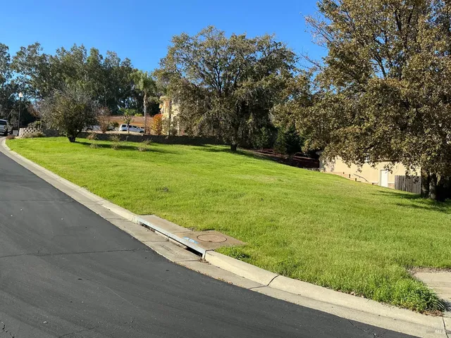 a view of a park with large trees