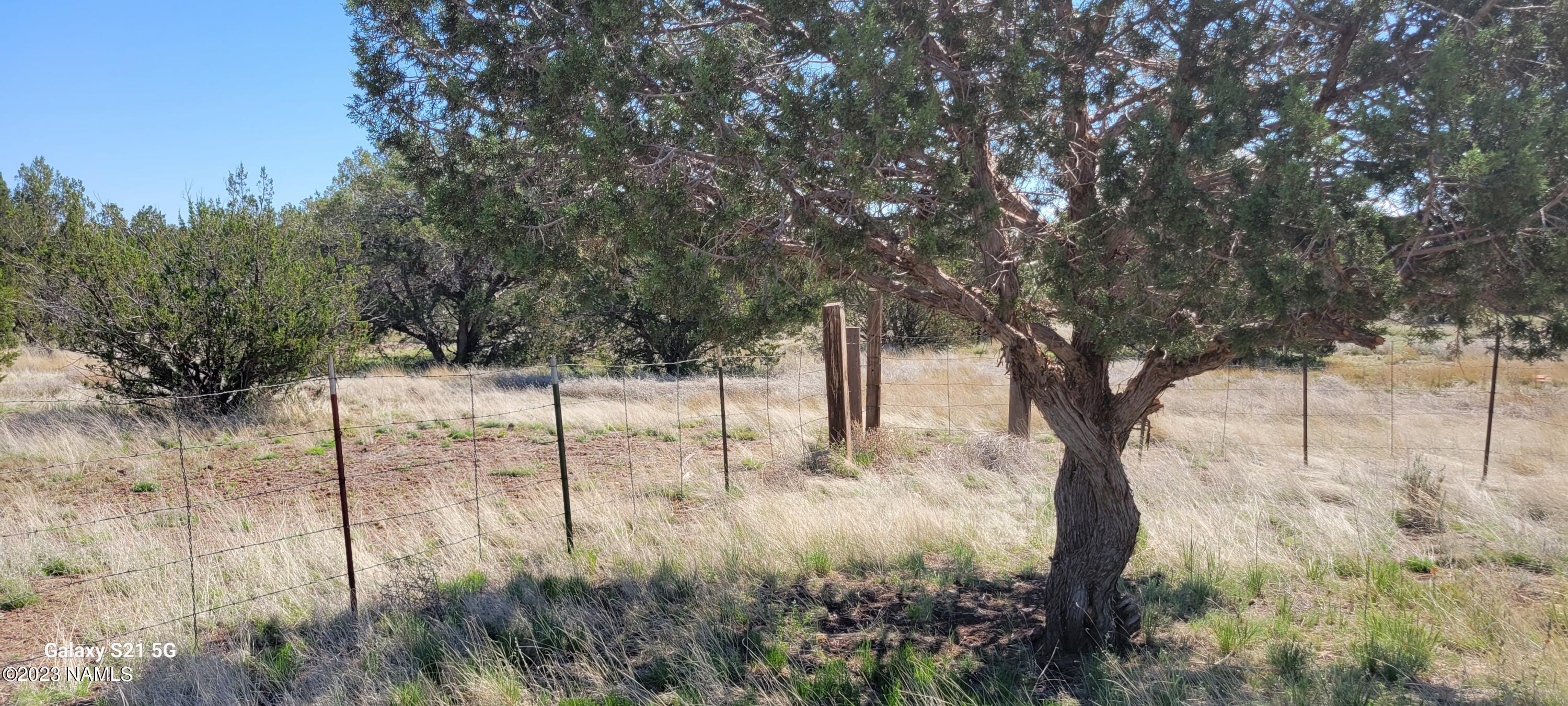 1423 West Cyn Road Williams, AZ 86046 - Photo 1 of 25 20230519_095732