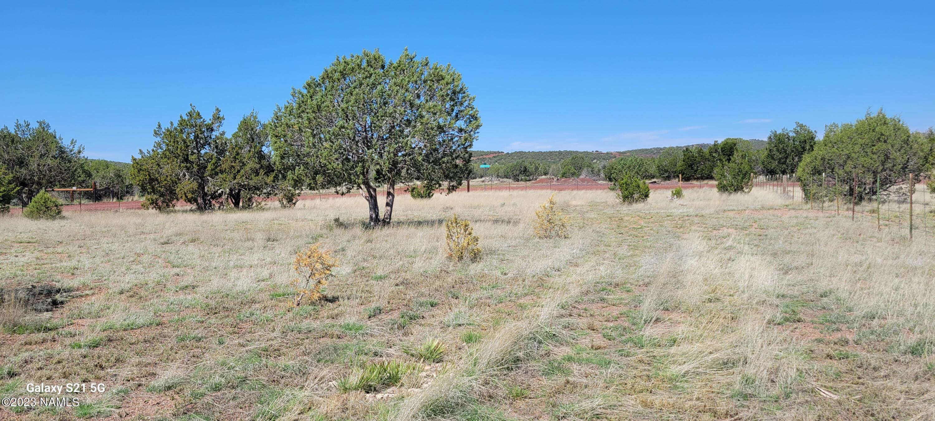 1423 West Cyn Road Williams, AZ 86046 - Photo 17 of 25 20230519_095517