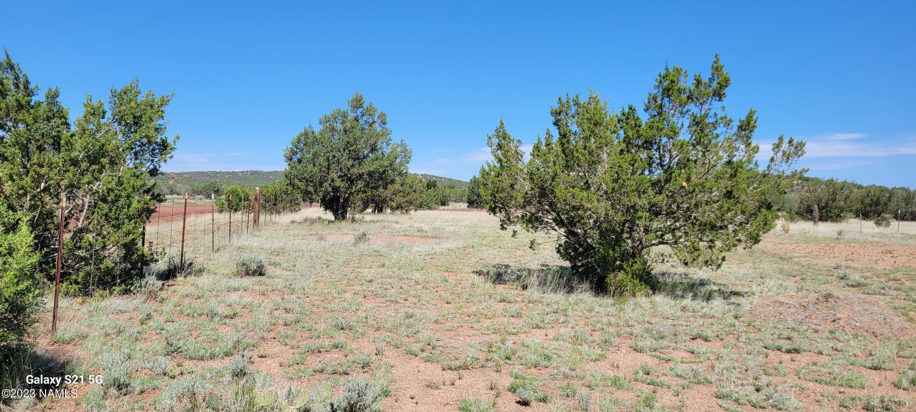 1423 West Cyn Road Williams, AZ 86046 - Photo 20 of 25 20230519_095408