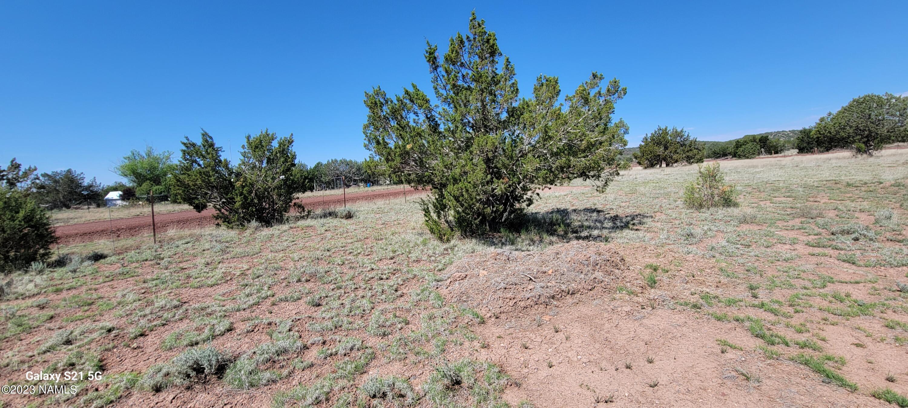 1423 West Cyn Road Williams, AZ 86046 - Photo 23 of 25 20230519_095428
