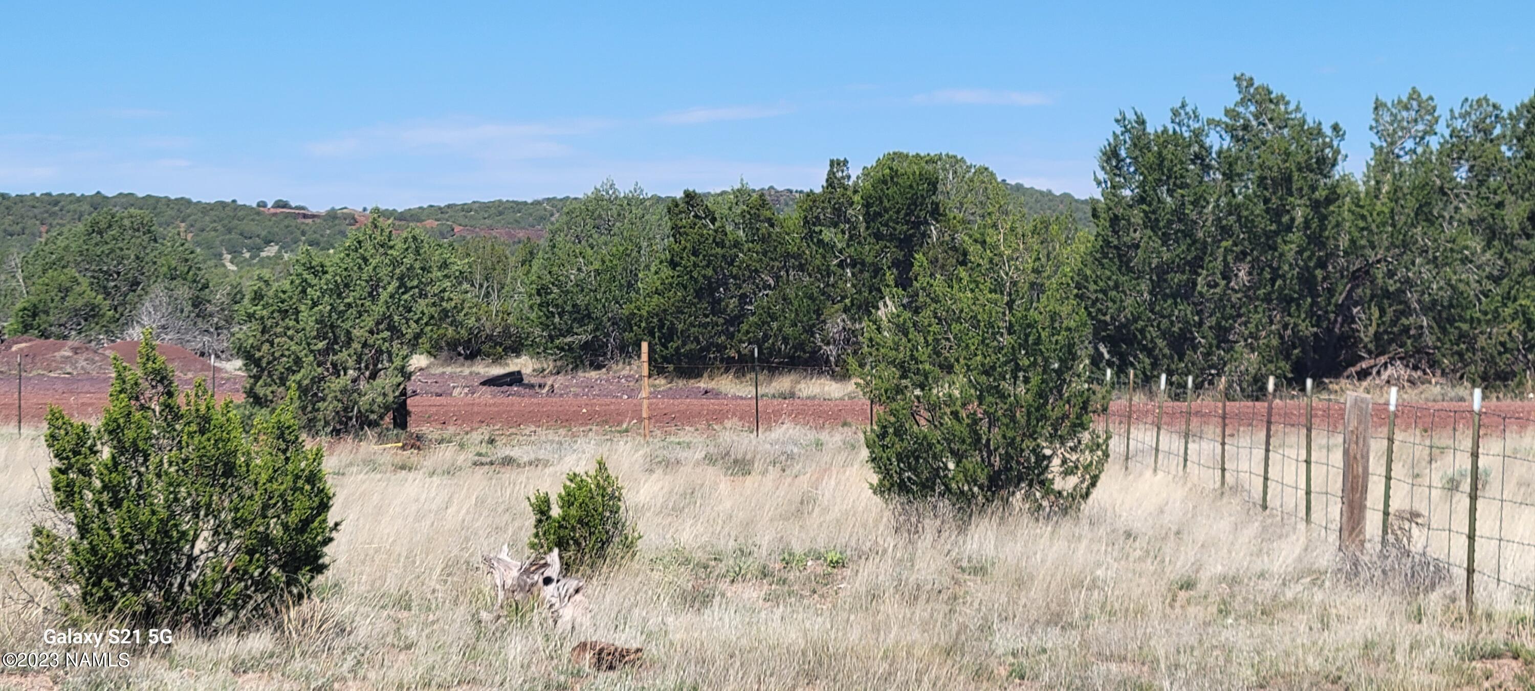1423 West Cyn Road Williams, AZ 86046 - Photo 7 of 25 20230519_095551