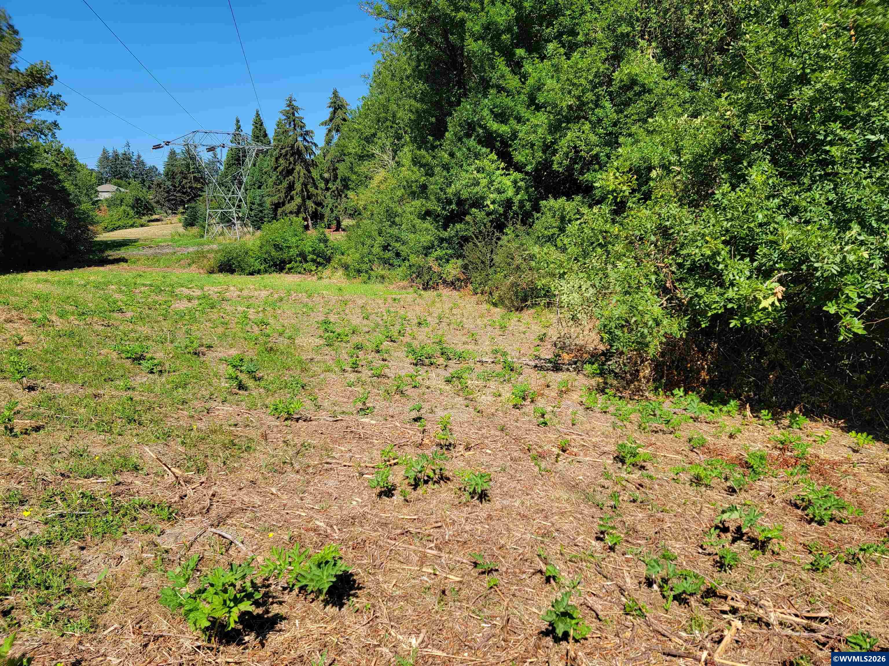 0 Oak Grove Albany, OR 97321 - Photo 19 of 30