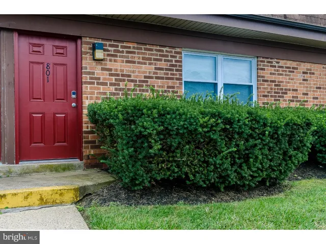 a view of a backyard with plants