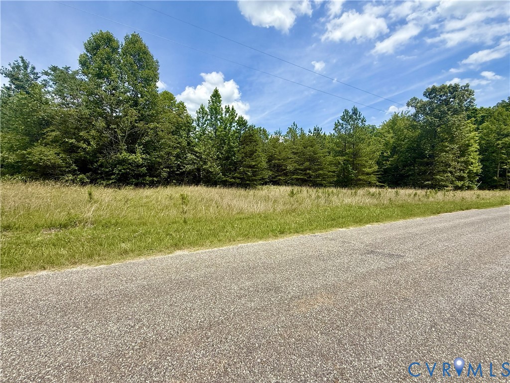 Lot 26 Whispering Wood Road Meherrin, VA 23954 - Photo 5 of 10