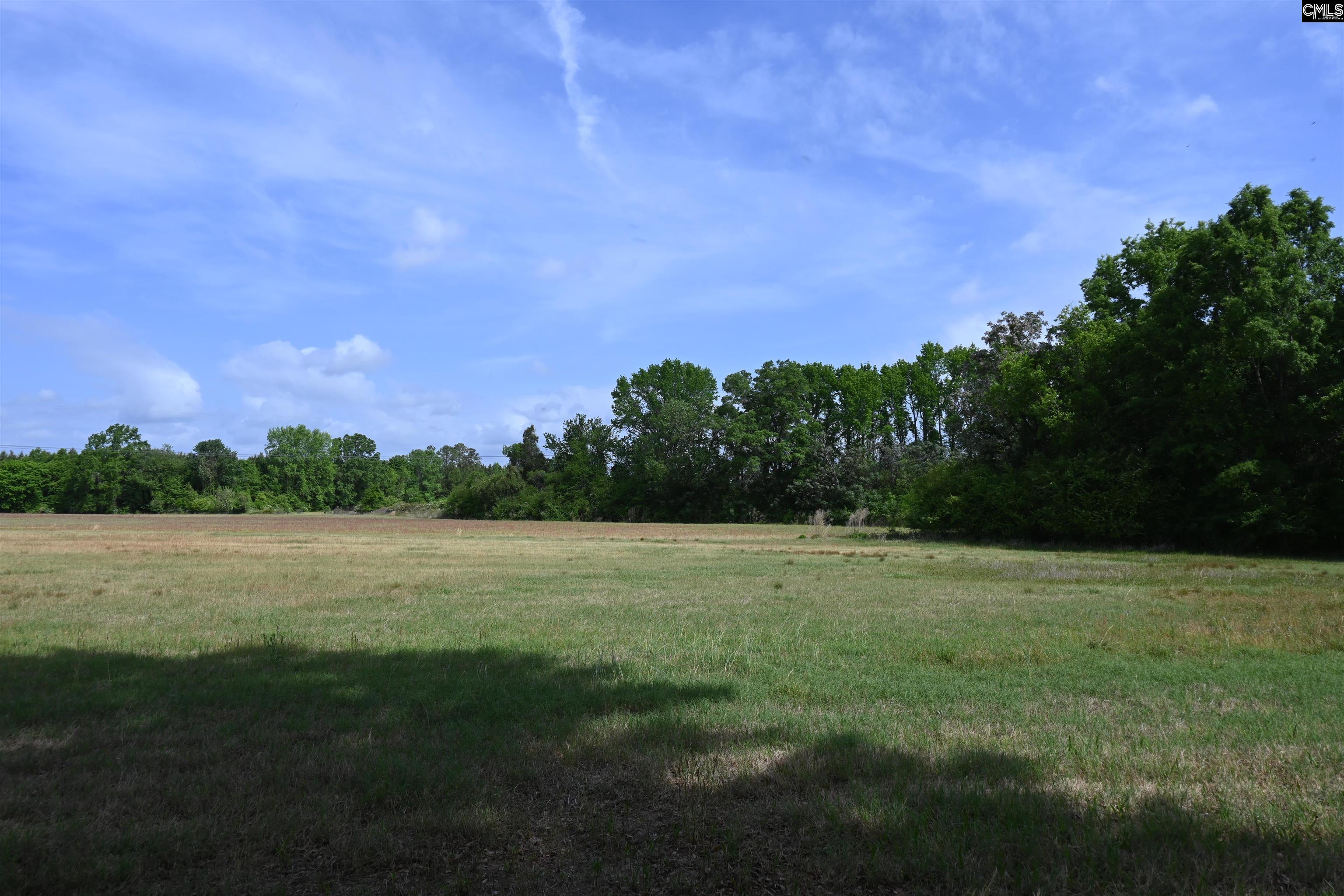 Tbd Gallowaytown Road Hartsville, SC 29550 - Photo 8 of 34