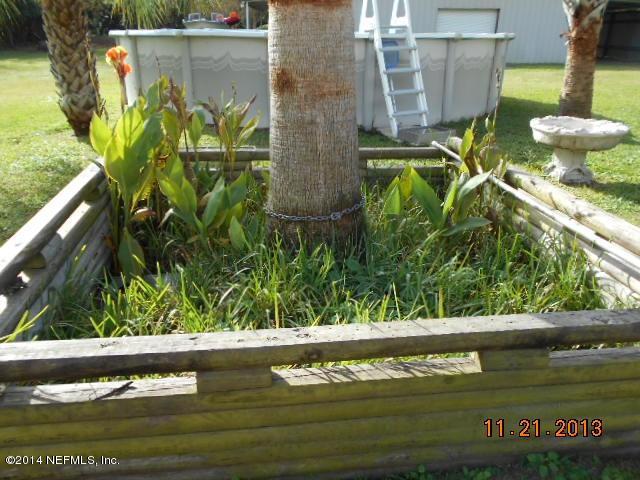 1116 Regis Road Jacksonville, FL 32218 - Photo 34 of 49 34 Box Turtle habitat