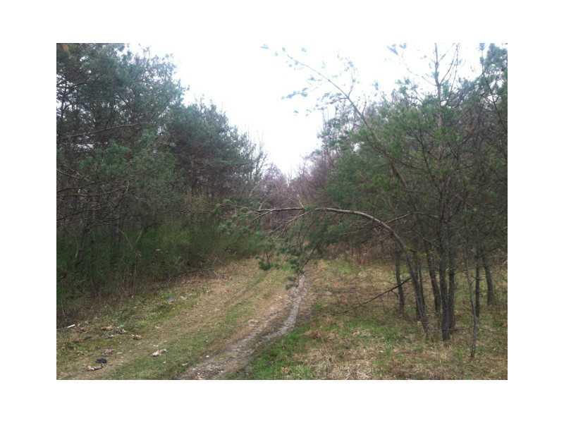 Buterbaugh Road Marion Center, PA 15759 - Photo 2 of 6 Land.