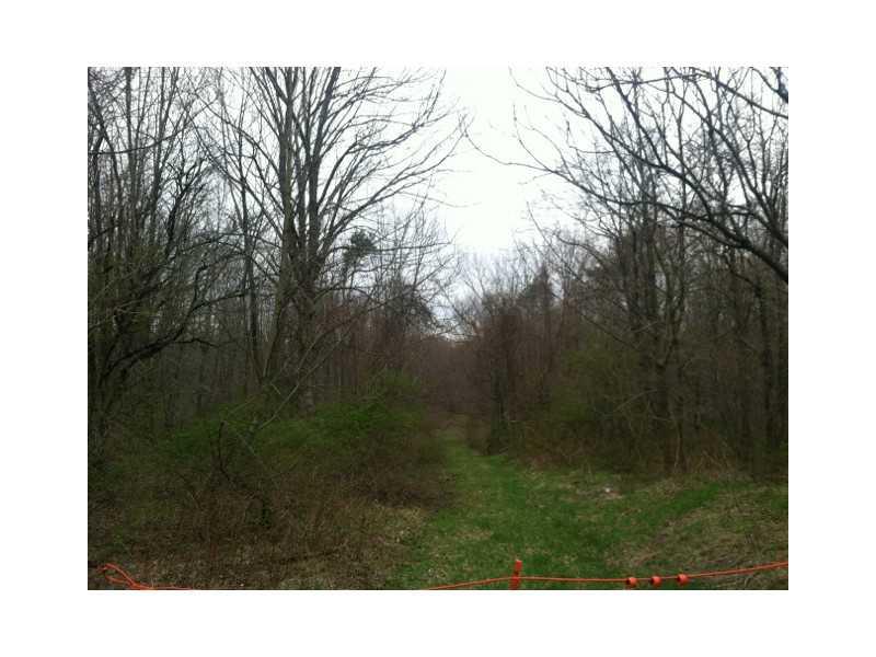 Buterbaugh Road Marion Center, PA 15759 - Photo 4 of 6 Land.