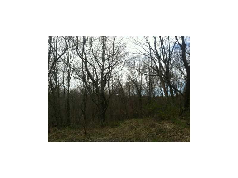 Buterbaugh Road Marion Center, PA 15759 - Photo 6 of 6 Land.