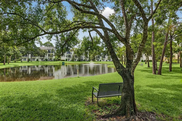 a front view of a house with a yard and a large tree