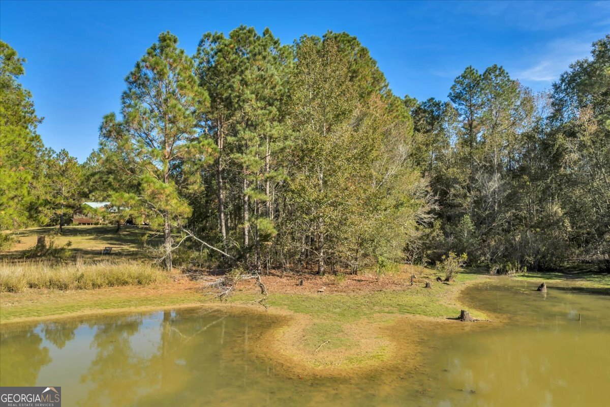 874 Mistletoe Road Abbeville, GA 31001 - Photo 39 of 67 a view of a swimming pool with an outdoor space