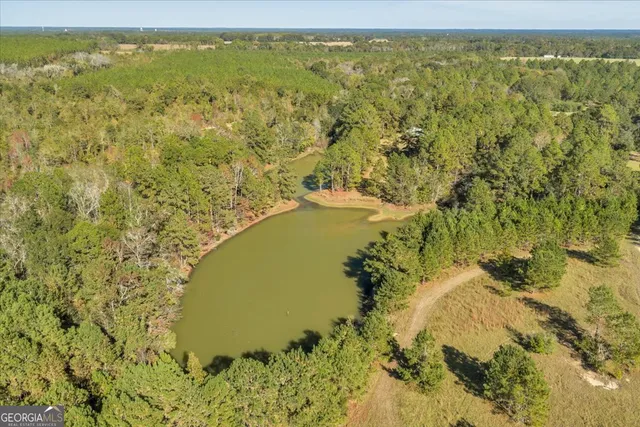 $629,900 | 874 Mistletoe Road, Abbeville, GA 31001