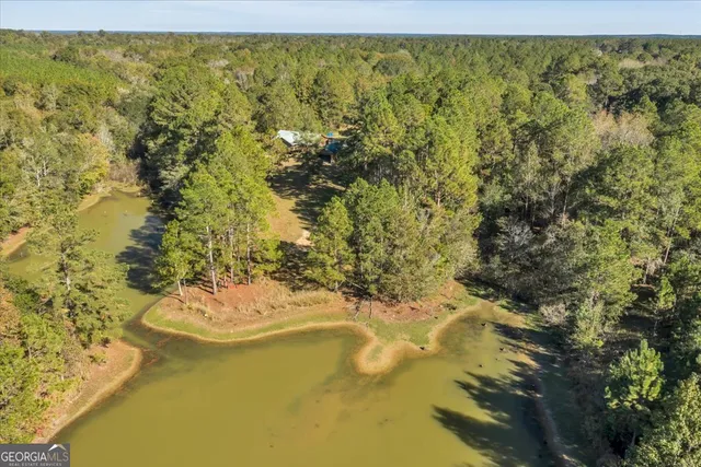 $629,900 | 874 Mistletoe Road, Abbeville, GA 31001