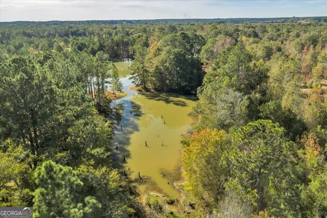 $629,900 | 874 Mistletoe Road, Abbeville, GA 31001