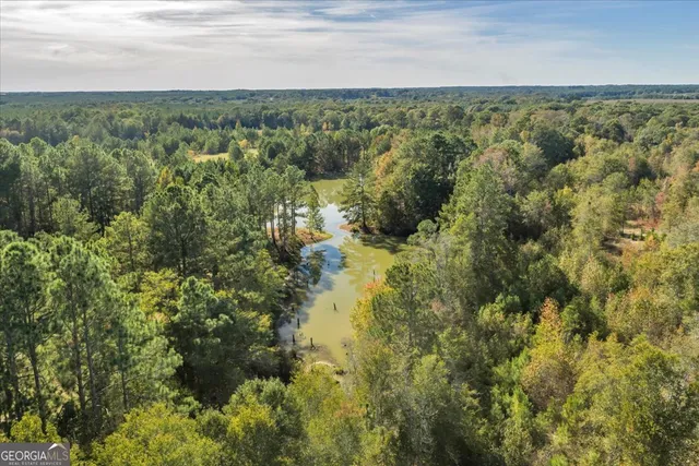 $629,900 | 874 Mistletoe Road, Abbeville, GA 31001