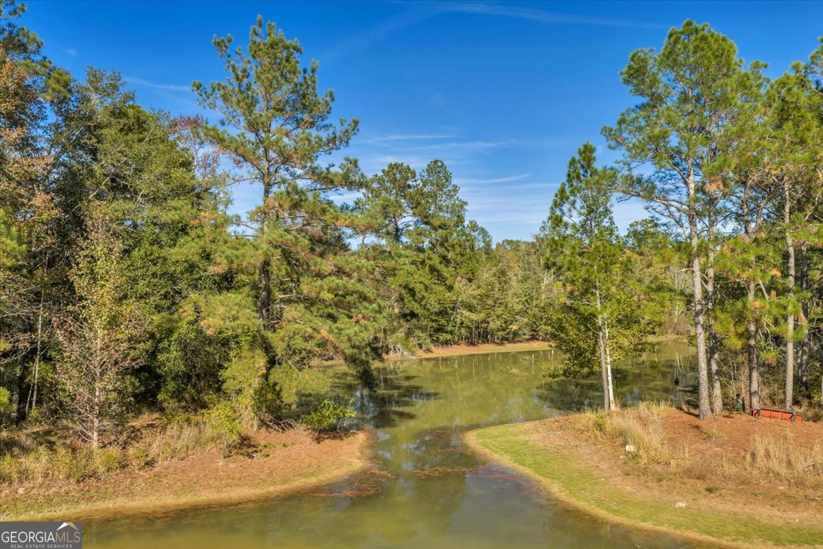874 Mistletoe Road Abbeville, GA 31001 - Photo 45 of 67 a view of a lake with a yard