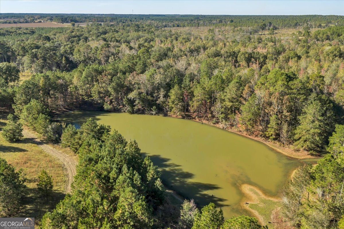 874 Mistletoe Road Abbeville, GA 31001 - Photo 47 of 67 a view of a lake with a mountain in the background
