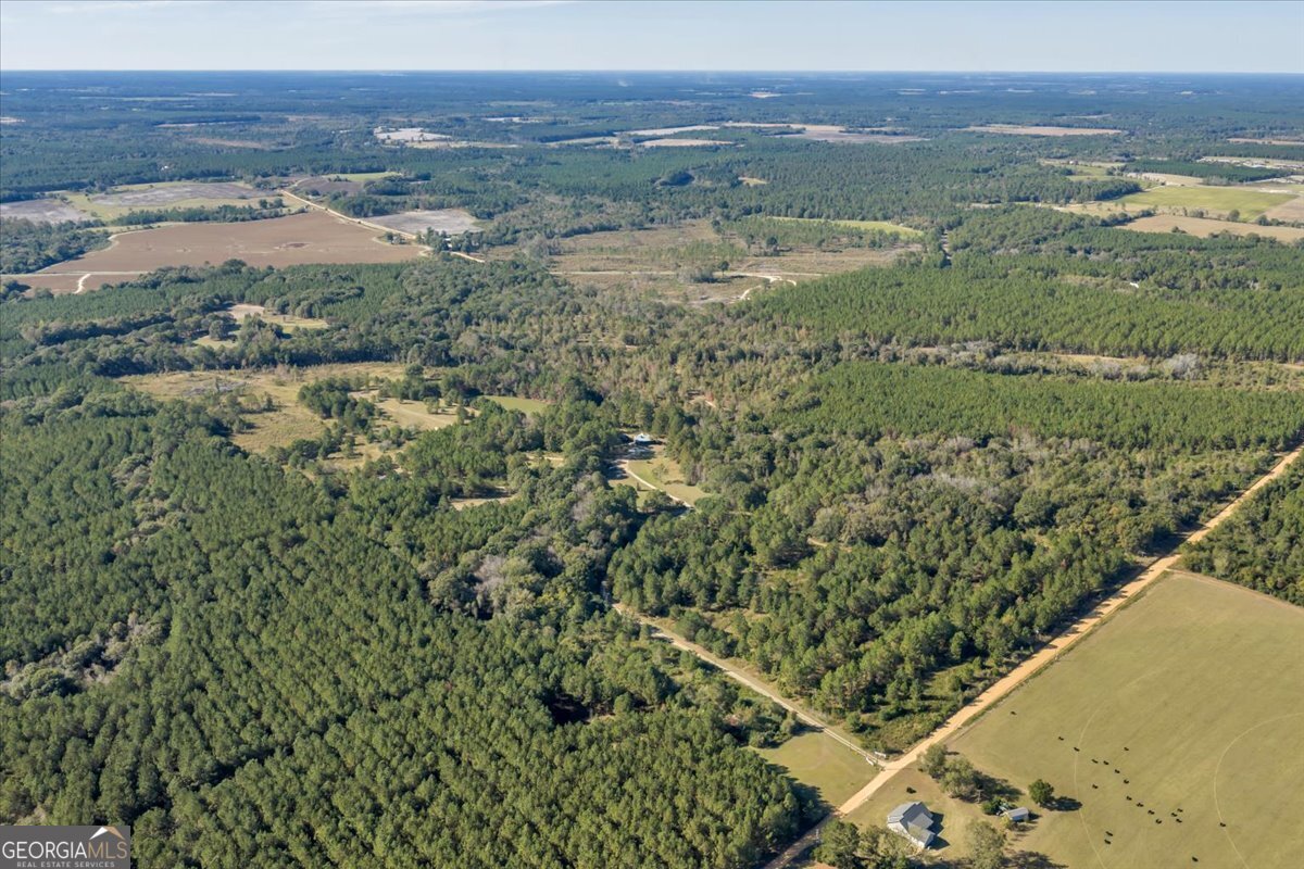 874 Mistletoe Road Abbeville, GA 31001 - Photo 48 of 67 a view of a city with an ocean view