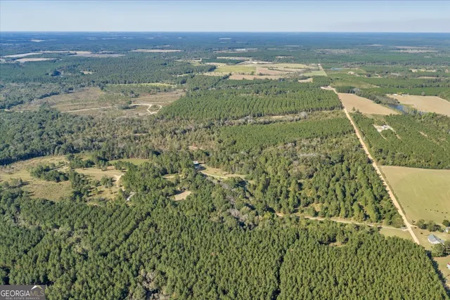 $629,900 | 874 Mistletoe Road, Abbeville, GA 31001