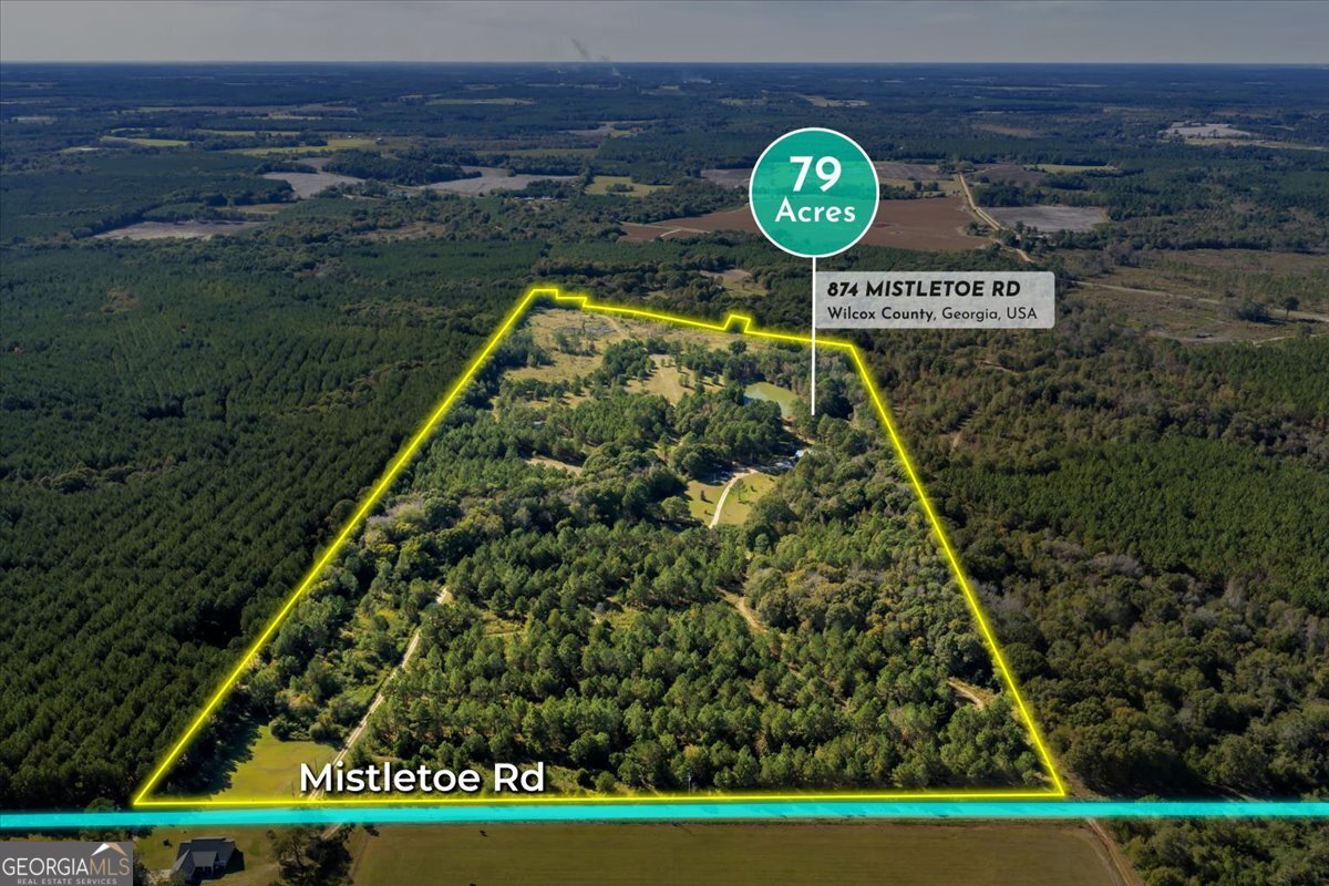 874 Mistletoe Road Abbeville, GA 31001 - Photo 5 of 67