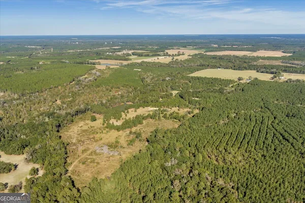 $599,000 | 874 Mistletoe Road, Abbeville, GA 31001