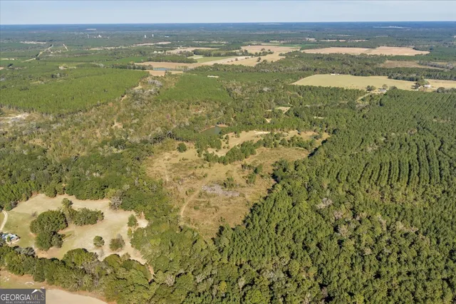 $629,900 | 874 Mistletoe Road, Abbeville, GA 31001