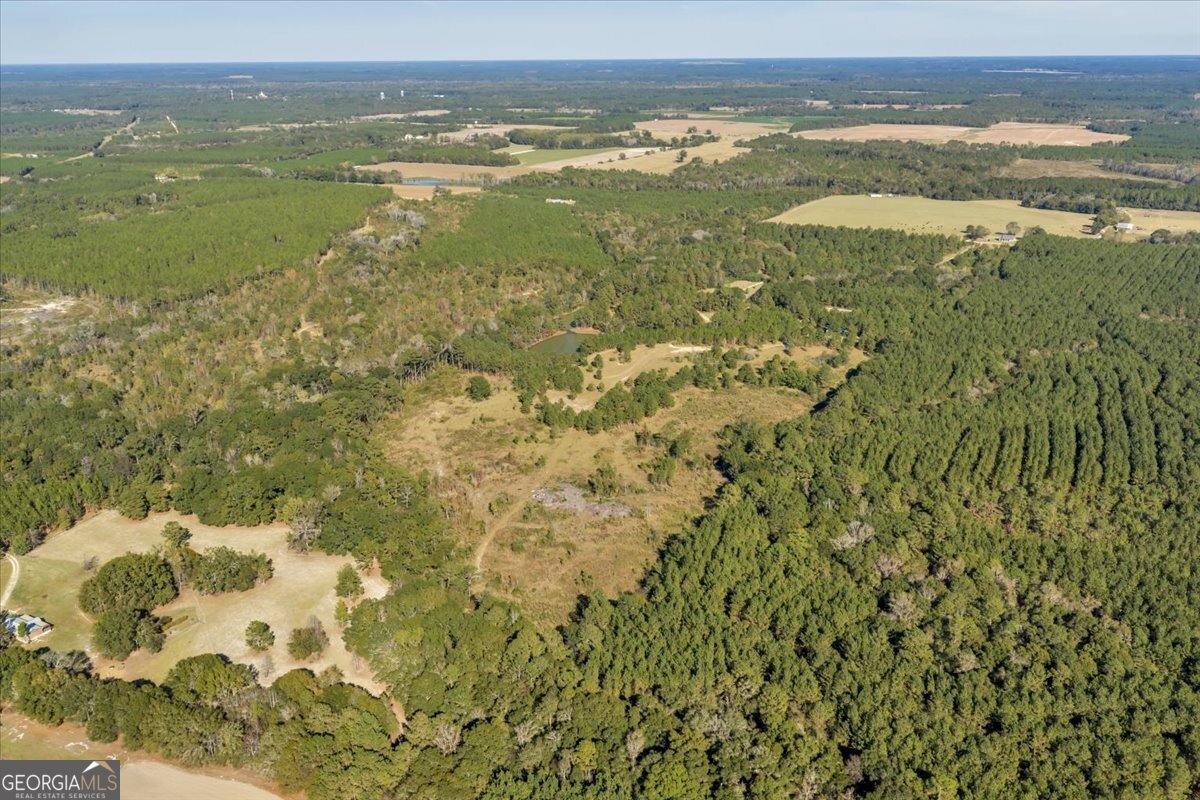 874 Mistletoe Road Abbeville, GA 31001 - Photo 52 of 67 a view of an ocean from a yard