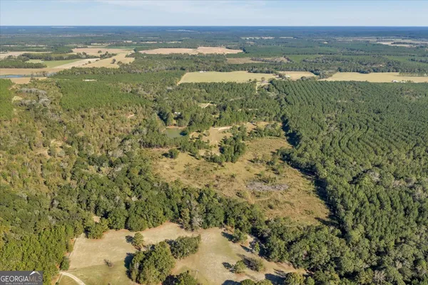 $599,000 | 874 Mistletoe Road, Abbeville, GA 31001