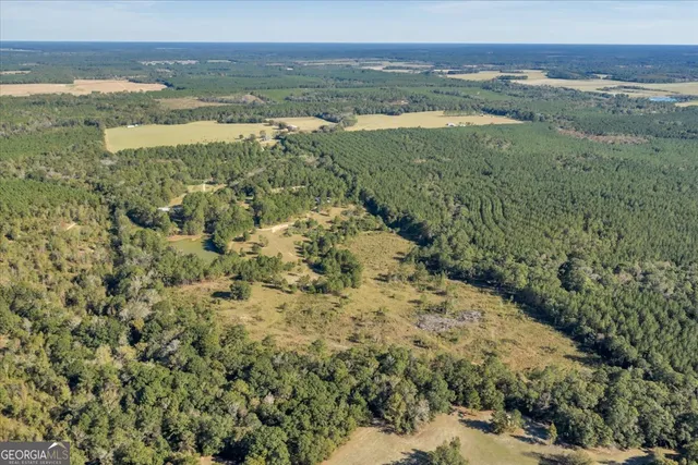 $629,900 | 874 Mistletoe Road, Abbeville, GA 31001