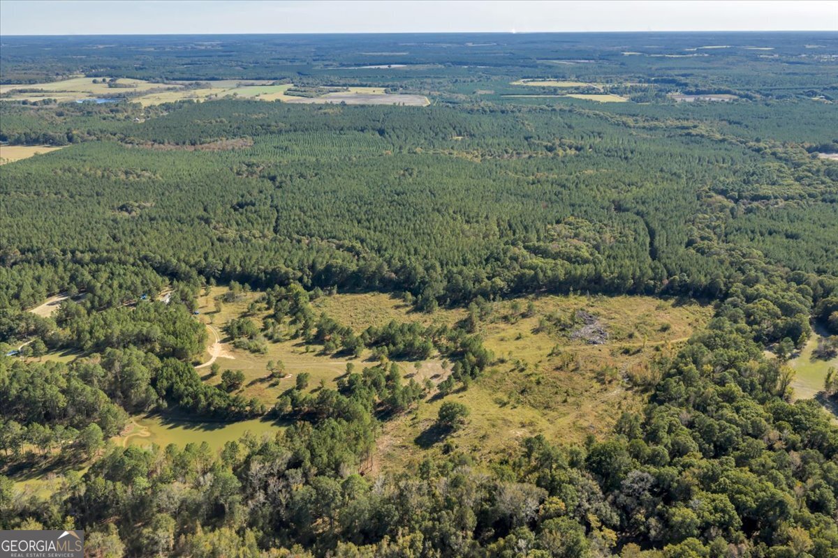 874 Mistletoe Road Abbeville, GA 31001 - Photo 55 of 67