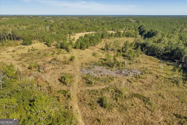 $599,000 | 874 Mistletoe Road, Abbeville, GA 31001