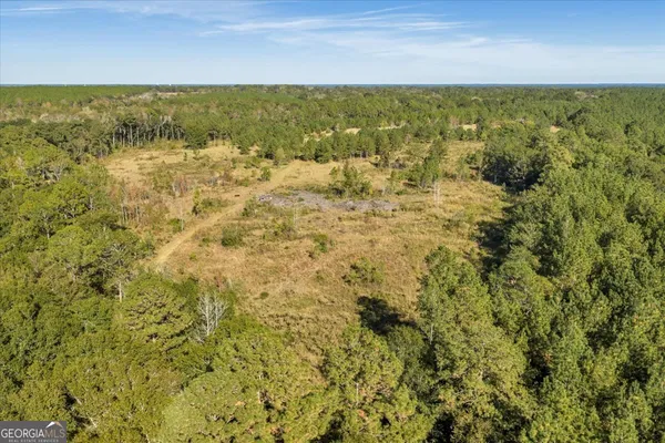 $599,000 | 874 Mistletoe Road, Abbeville, GA 31001