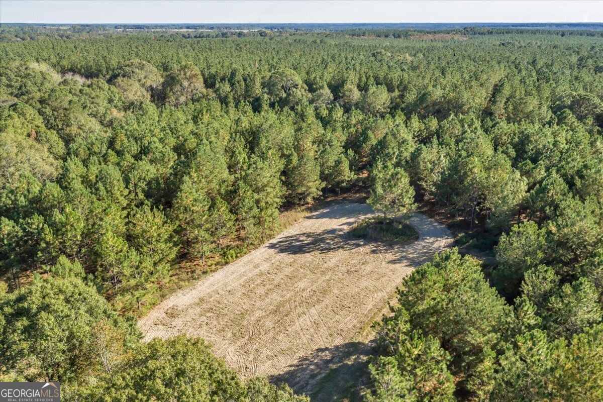 874 Mistletoe Road Abbeville, GA 31001 - Photo 59 of 67