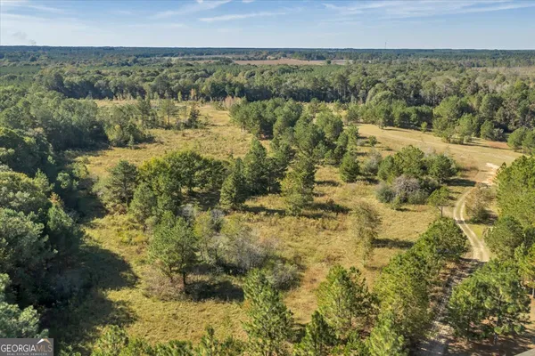 $599,000 | 874 Mistletoe Road, Abbeville, GA 31001