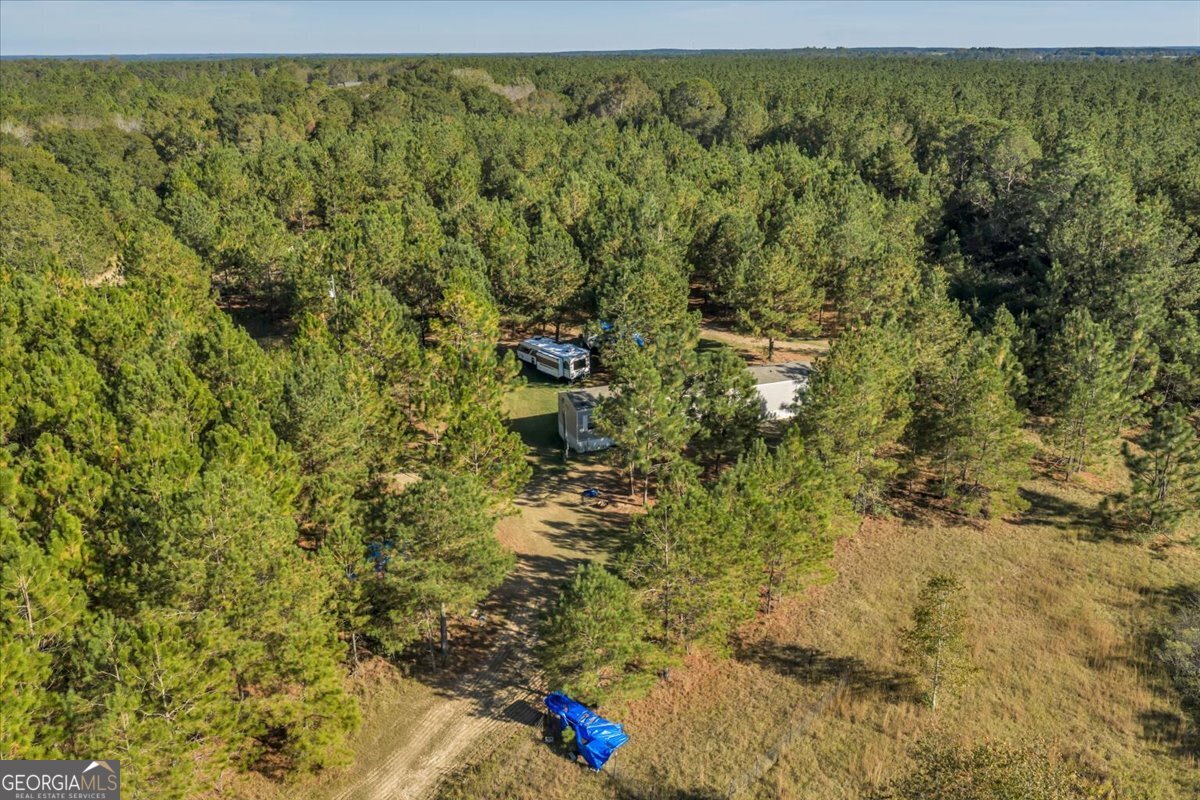 874 Mistletoe Road Abbeville, GA 31001 - Photo 62 of 67