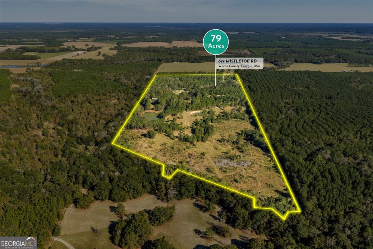 874 Mistletoe Road Abbeville, GA 31001 - Photo 66 of 67