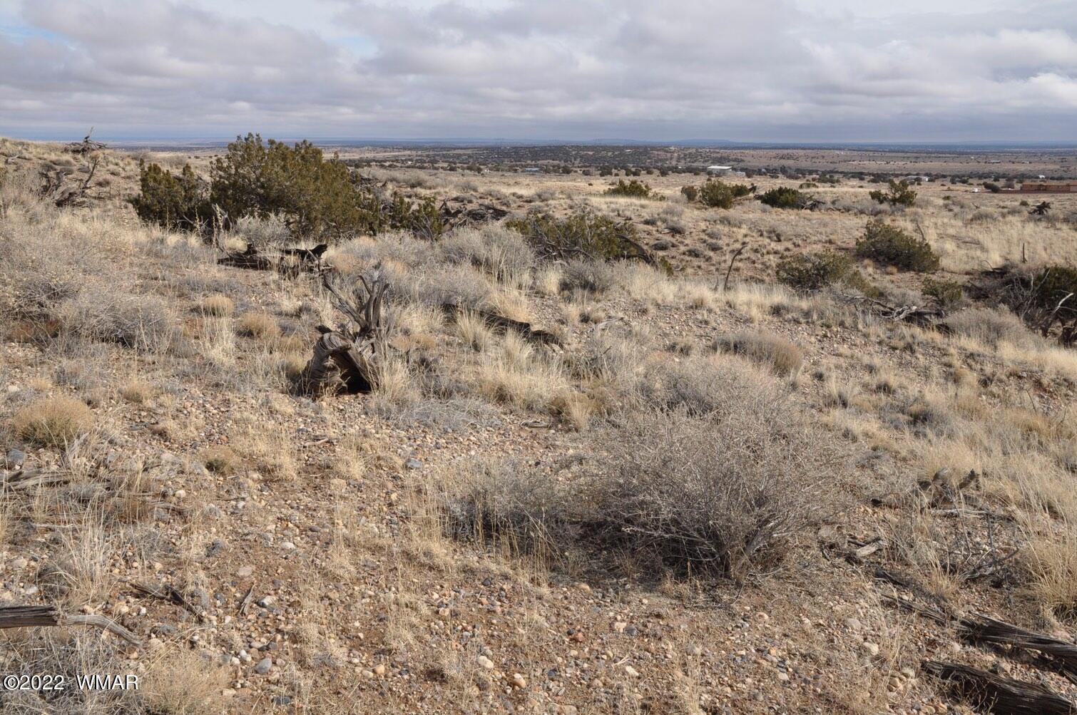 8654 Ledger Ranch Trail Snowflake, AZ 85937 - Photo 43 of 53 Gallery Image 43