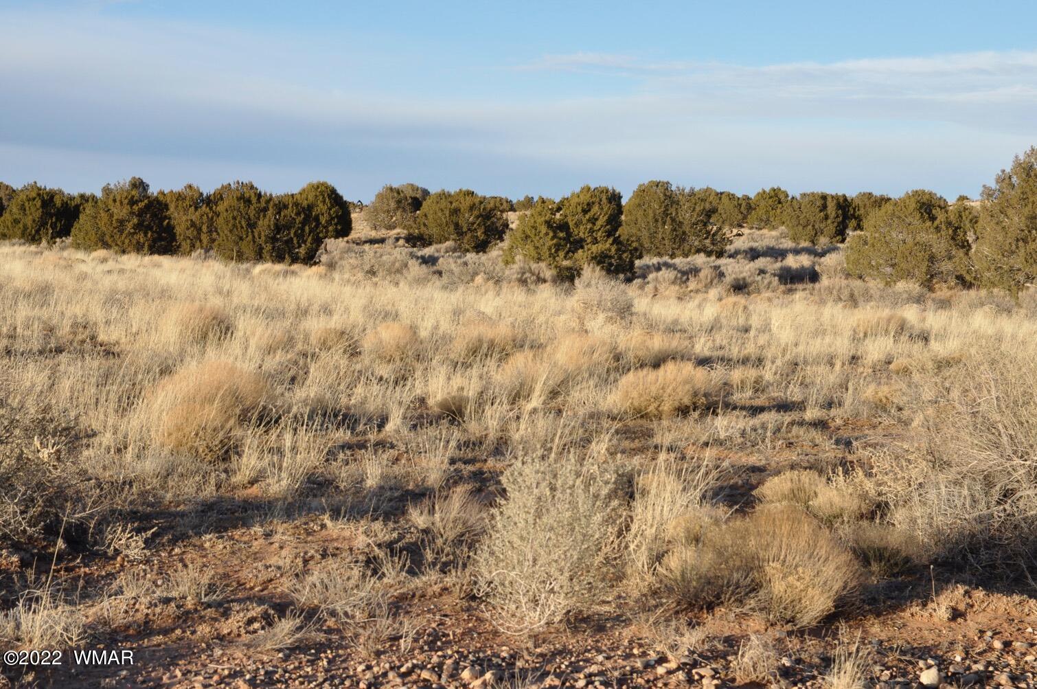 8654 Ledger Ranch Trail Snowflake, AZ 85937 - Photo 49 of 53 Gallery Image 49