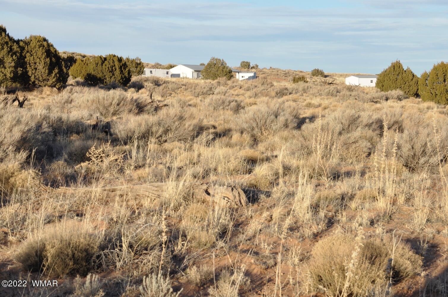 8654 Ledger Ranch Trail Snowflake, AZ 85937 - Photo 50 of 53 Gallery Image 50