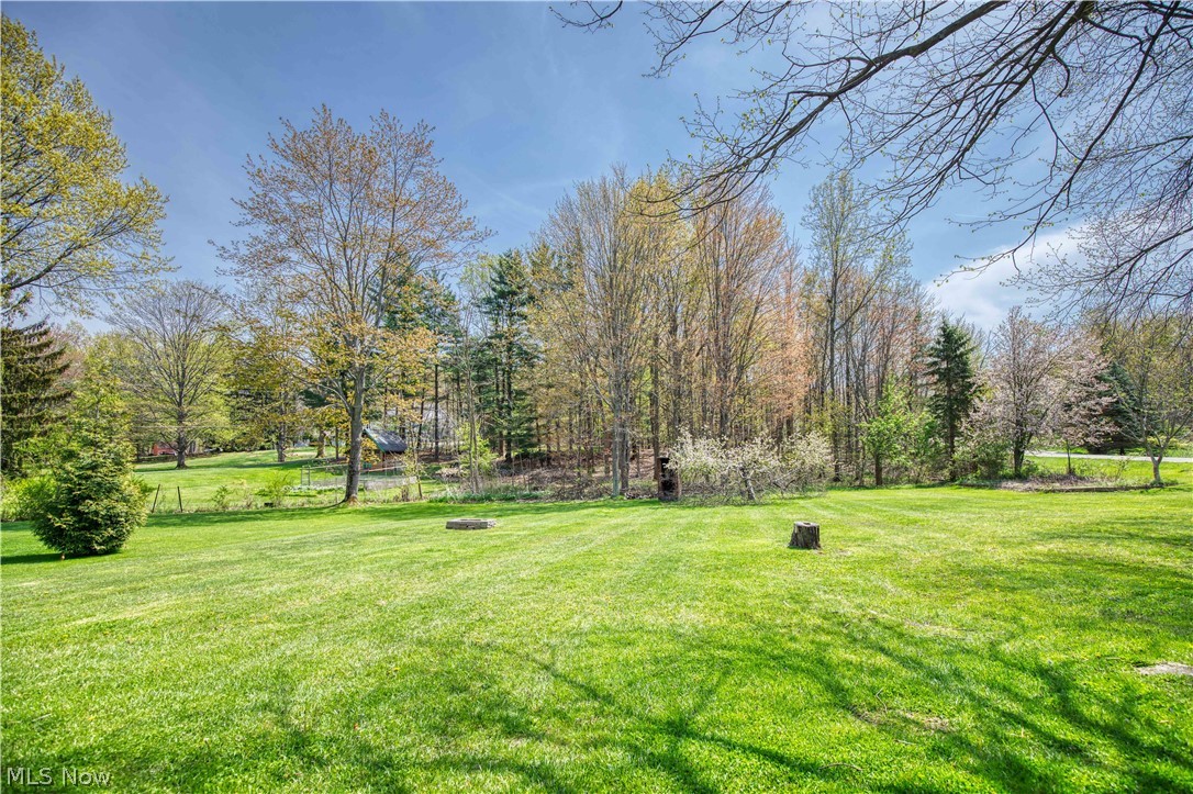 29316 White Road Wickliffe, OH 44092 - Photo 24 of 25 Gallery Image 24