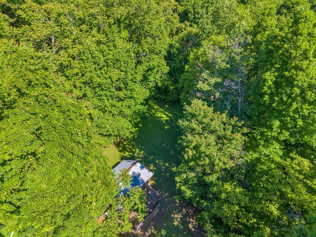 755 Woody Road Byrdstown, TN 38549 - Photo 34 of 37