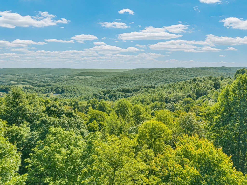 755 Woody Road Byrdstown, TN 38549 - Photo 35 of 37