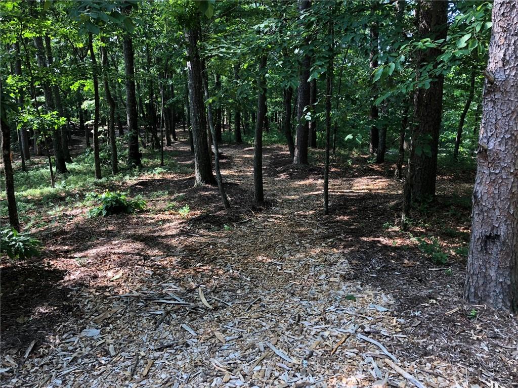 321 Stonehaven Court Jasper, GA 30143 - Photo 13 of 15 a view of outdoor space with lots of trees