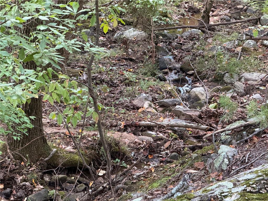 321 Stonehaven Court Jasper, GA 30143 - Photo 7 of 15 a view of a tree in a forest
